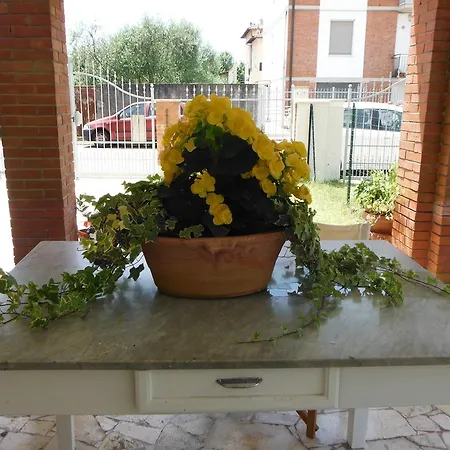 La Casa Di Nila Pisa